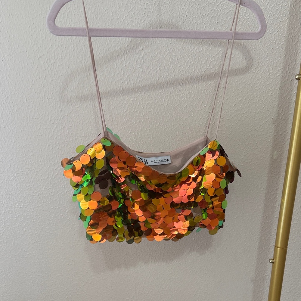 Zara Multicolor Sequin Top